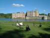 Leeds castle